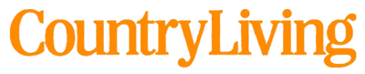 Publication logo